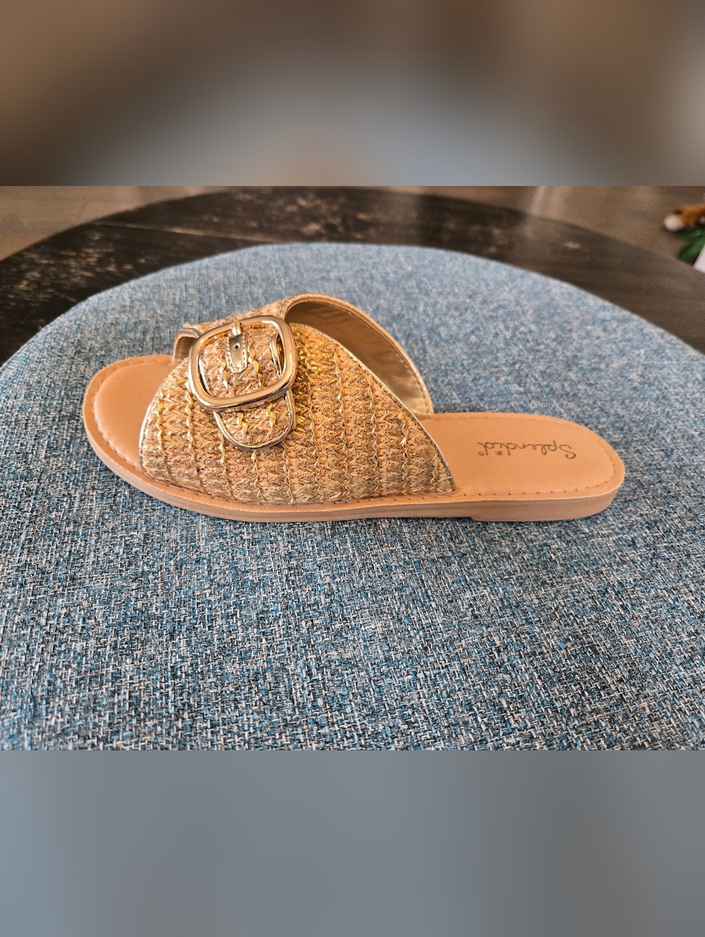 Splendid Sandy Light Gold Braided Slide Sandals with Decorative Buckle - Picture 5 of 9
